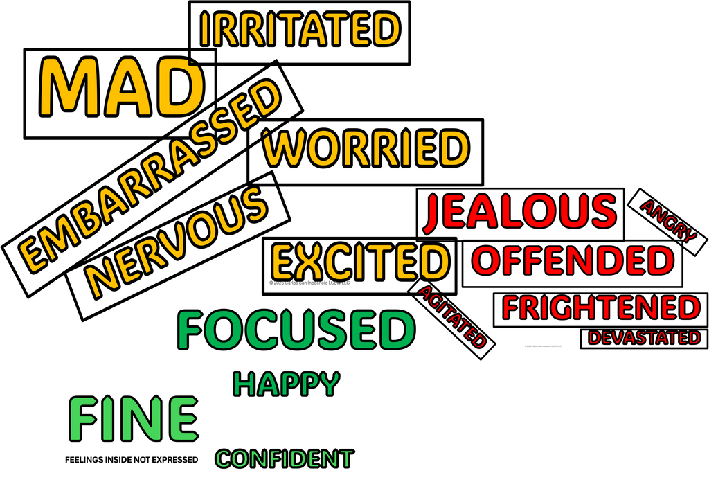 Feelings  Custom Selection (20 Cards) Floor Check  Manual Prodiuct -