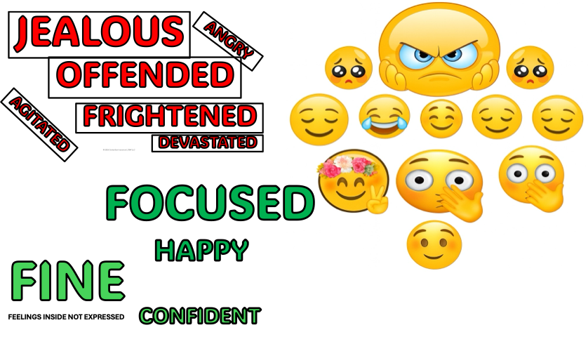 Feelings  Custom Selection (20 Cards) Floor Check  Manual Prodiuct -