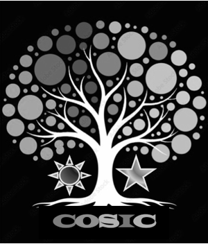 The Joyous Goodies Shop